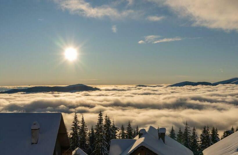 スタンダード４人部屋, Pensiunea Pusu