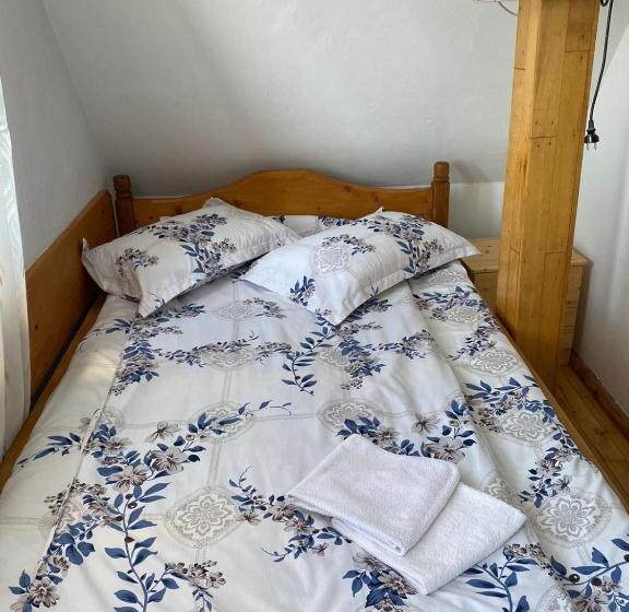 スタンダード４人部屋, Pensiunea Pusu