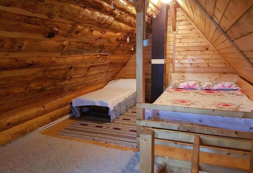 景色の見える一ベッドルームアパートメント, Pensiunea Pusu