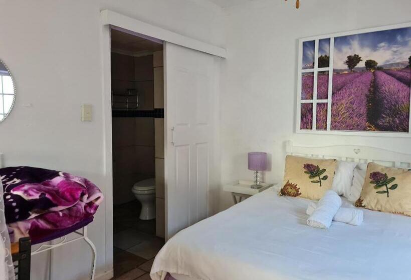 Номер Стандарт, Melville House