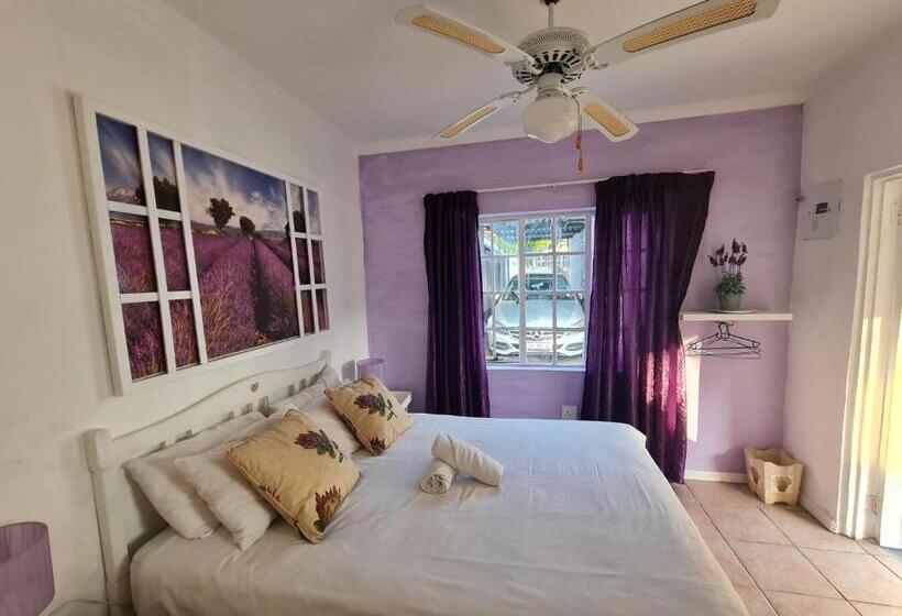 Номер Стандарт, Melville House