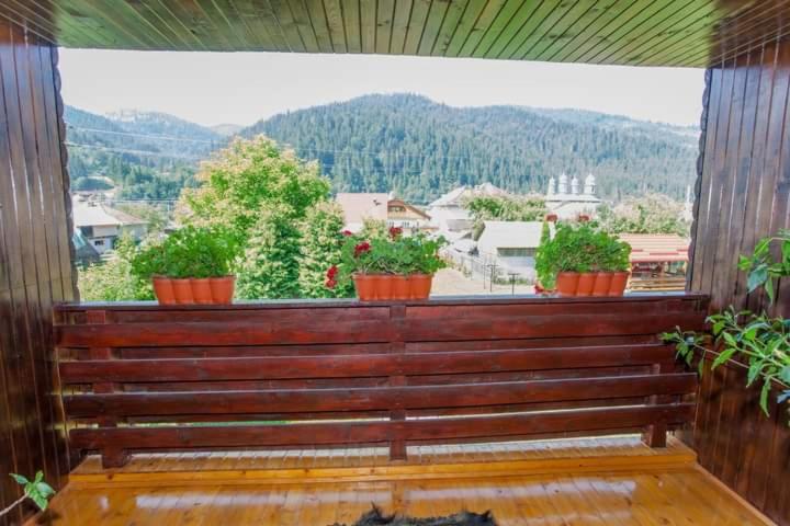 バス共有のスタンダードルーム, Casa Prundari Nicu și Mirela