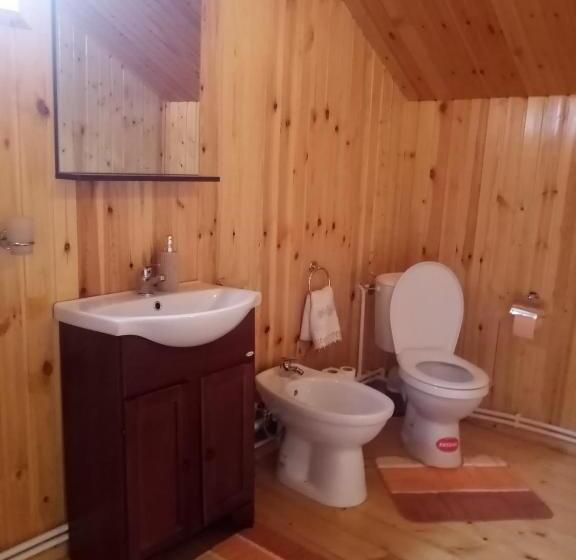 Номер Стандарт Совместная Ванная, Casa Prundari Nicu și Mirela