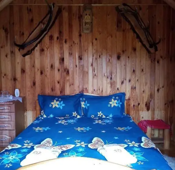 スタンダードルーム, Casa Prundari Nicu și Mirela