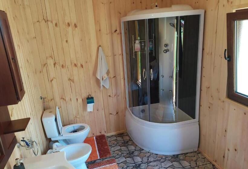 Номер Стандарт Совместная Ванная, Casa Prundari Nicu și Mirela