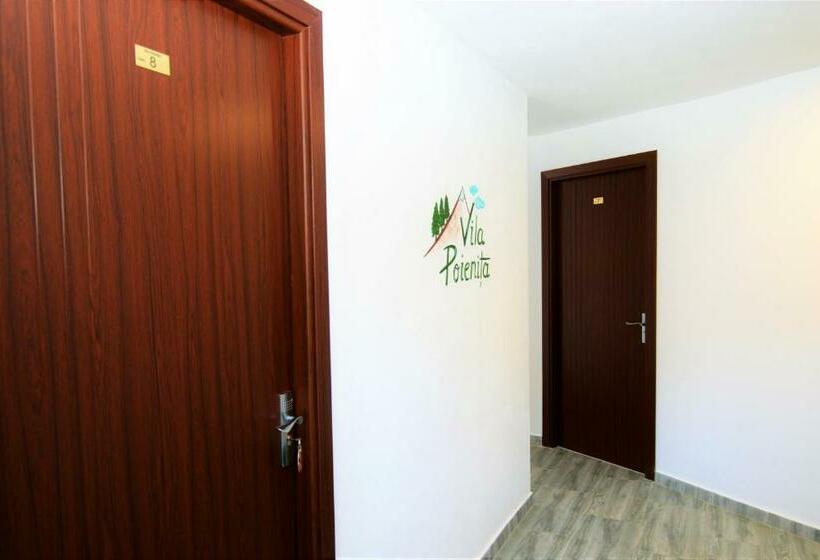 스탠다드 룸 산 전망, Vila Poienița Căciulata