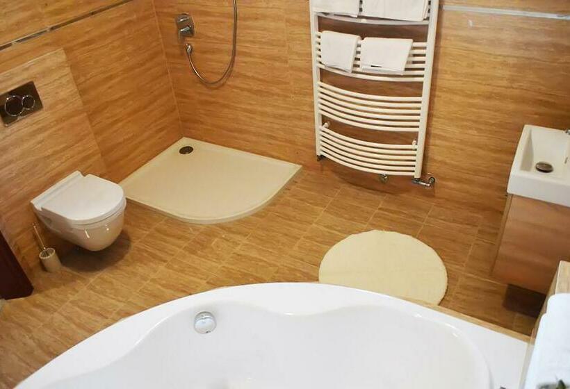 חדר דלוקס, Gyula Wellness Villa