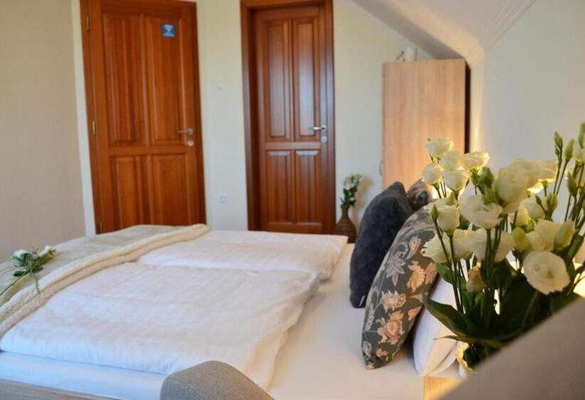 חדר דלוקס, Gyula Wellness Villa