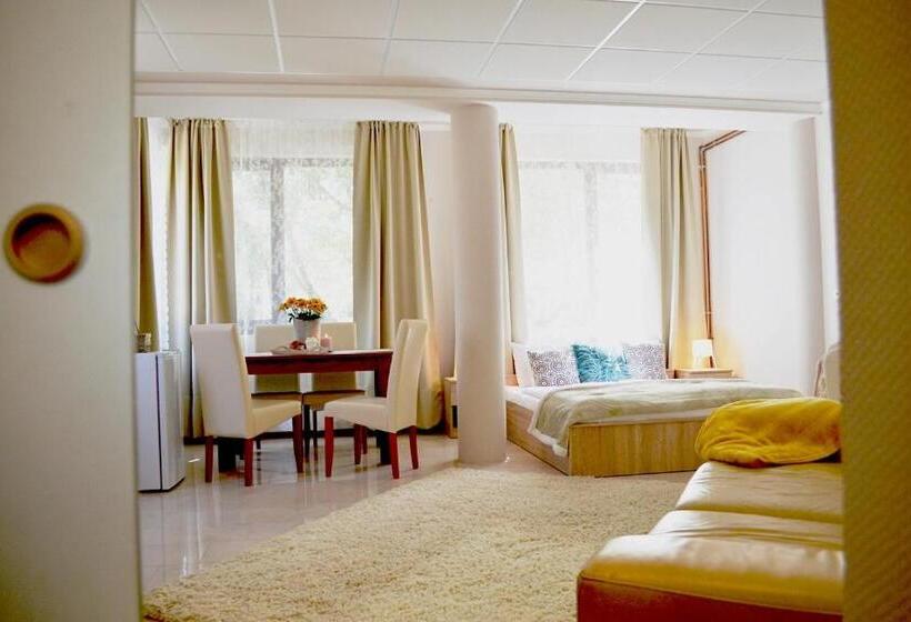 Номер Deluxe, Gyula Wellness Villa