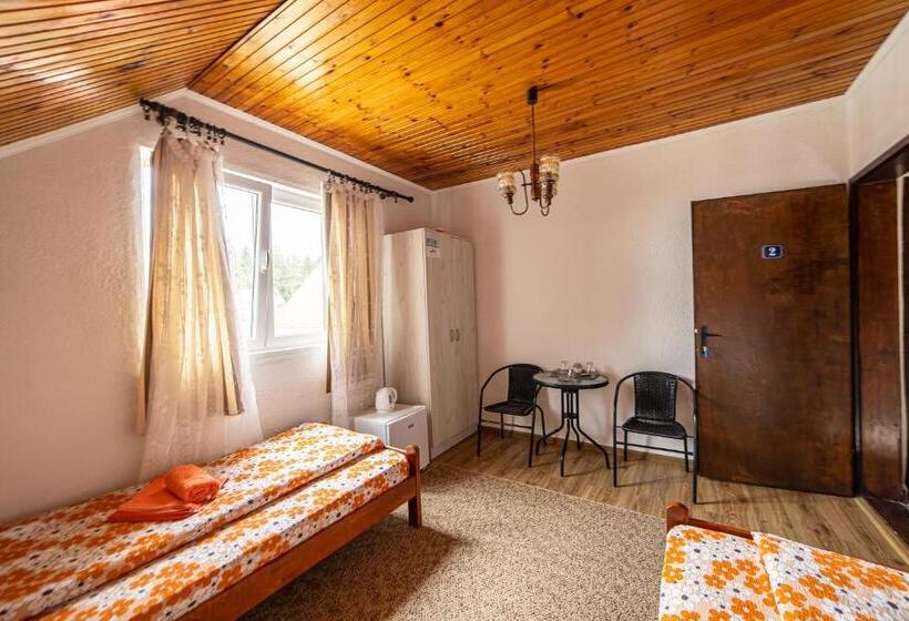 اتاق استاندارد با سرویس بهداشتی مشترک, Snam Rooms&apartment
