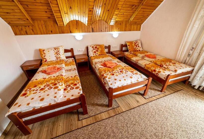 اتاق استاندارد سه تخته با سرویس بهداشتی مشترک, Snam Rooms&apartment