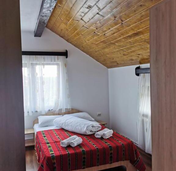 חדר סטנדרט, Pensiunea Alina