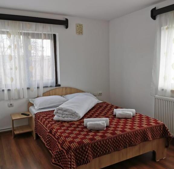 Апартаменты 1 Спальня, Pensiunea Alina