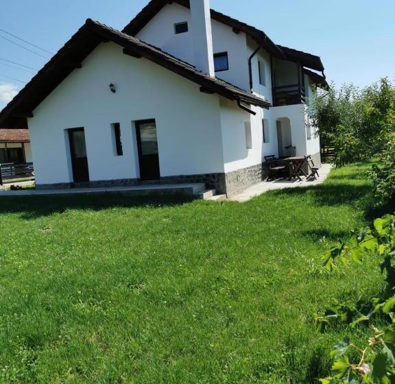 Дом 1 Спальня, Pensiunea Alina