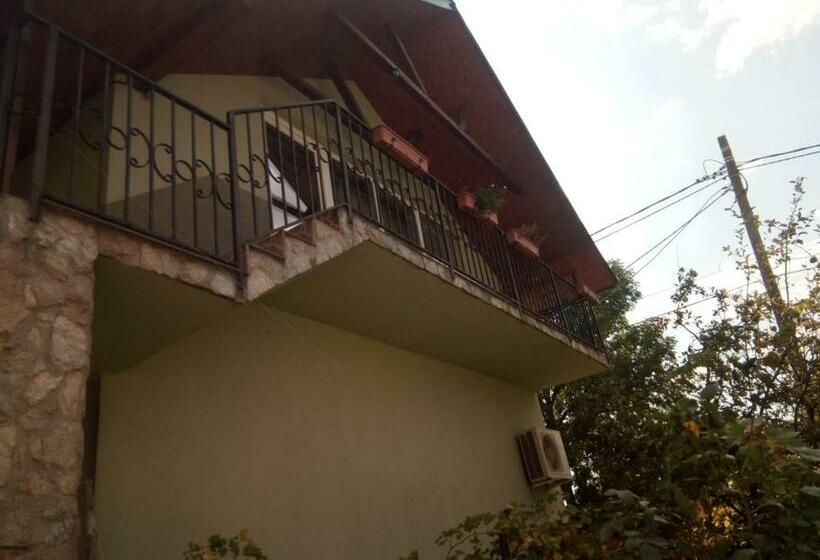 Студио Стандарт с Балконом, Pensiunea Valea Beiului