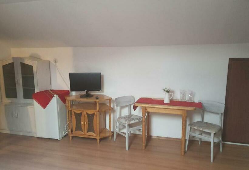 싱글 디럭스 룸, тодор прегьов