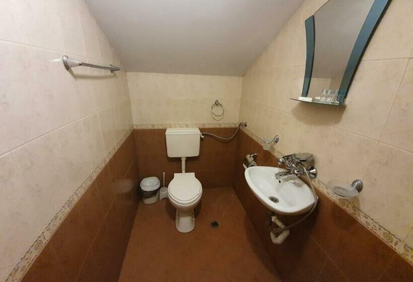 싱글 디럭스 룸, тодор прегьов