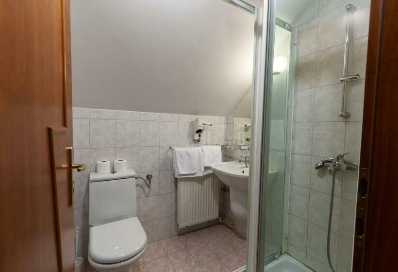 اتاق استاندارد, Gostišče Prosnik