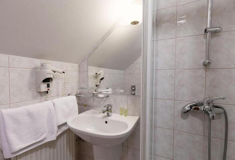 اتاق استاندارد با بالکن, Gostišče Prosnik