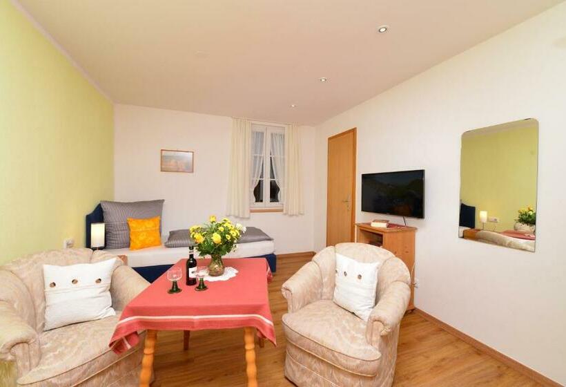 חדר סטנדרט יחיד, Gästehaus Maxheim