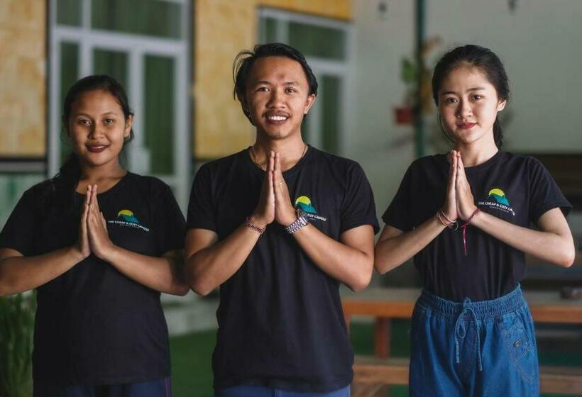 스탠다드 룸, The Cheap & Cozy Canggu