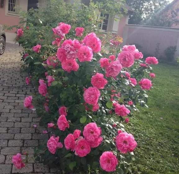 Standard-huone Puutarhanäkymä, Rose Garden Mezzanine