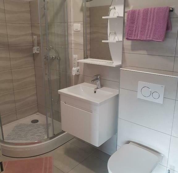 اتاق استاندارد, Apartmaji Janković