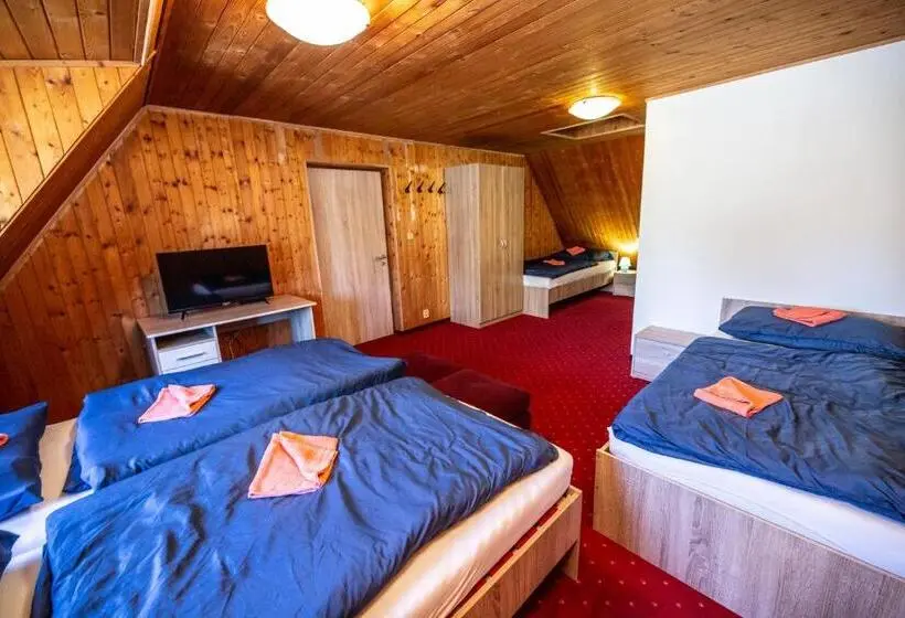スタンダード４人部屋, Penzion Svatý Petr