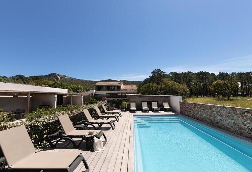 プールの見える１ベッドルームアパートメント, Résidence I Levri