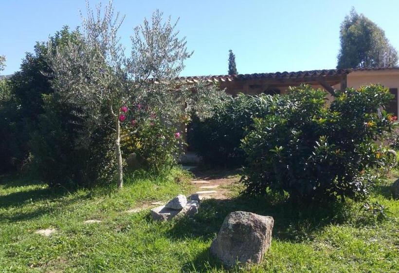 ２ベッドルームアパートメント, Résidence I Levri