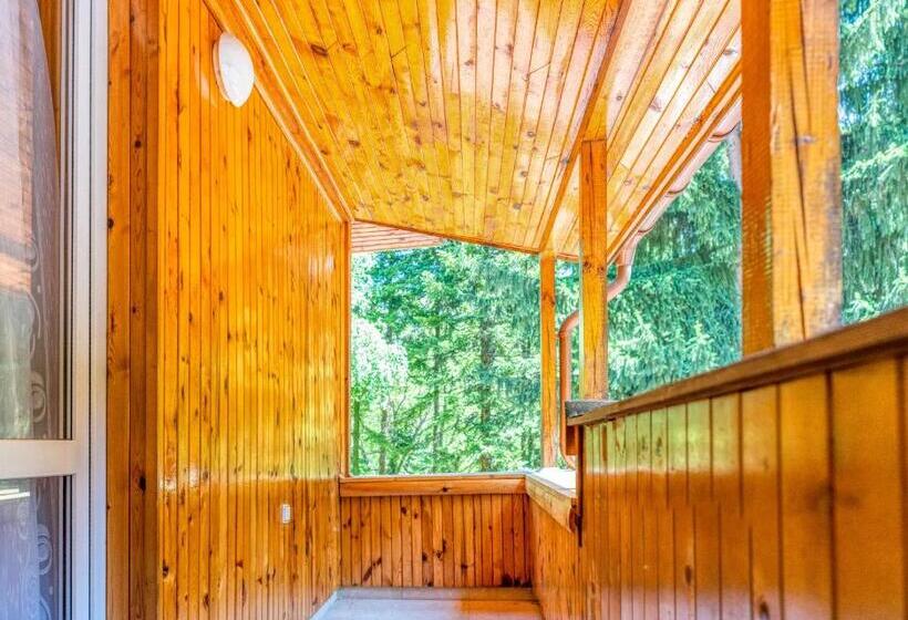 テラス付き1ベッドルームアパートメント, къща за гости крушун