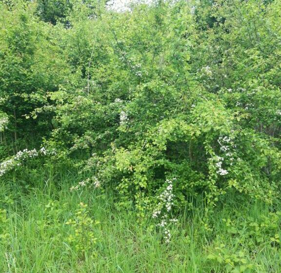 四人标准间, Colț De Rai   Camera De Inchiriat