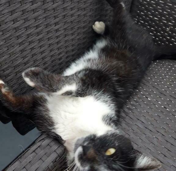 四人标准间, Colț De Rai   Camera De Inchiriat