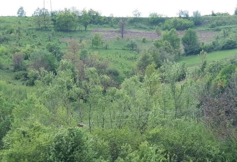 标准间, Colț De Rai   Camera De Inchiriat