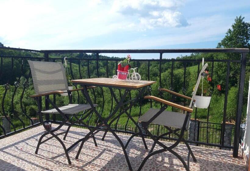 家庭间, Colț De Rai   Camera De Inchiriat