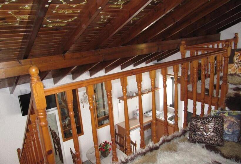 バルコニー付き１ベッドルームアパートメント, Castellino Studios