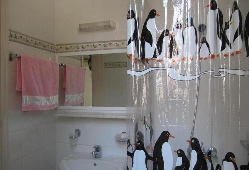 バルコニー付き１ベッドルームアパートメント, Castellino Studios