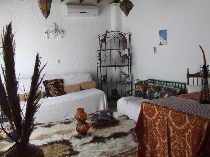 １ベッドルームアパートメント, Castellino Studios