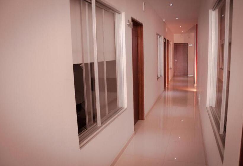 スタンダードルーム, Dorado Gold