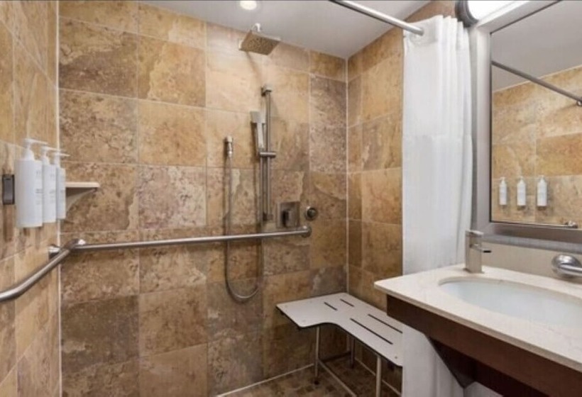 장애인을 위한 스탠다드 룸, Hampton Inn Manhattan/downtown Financial District