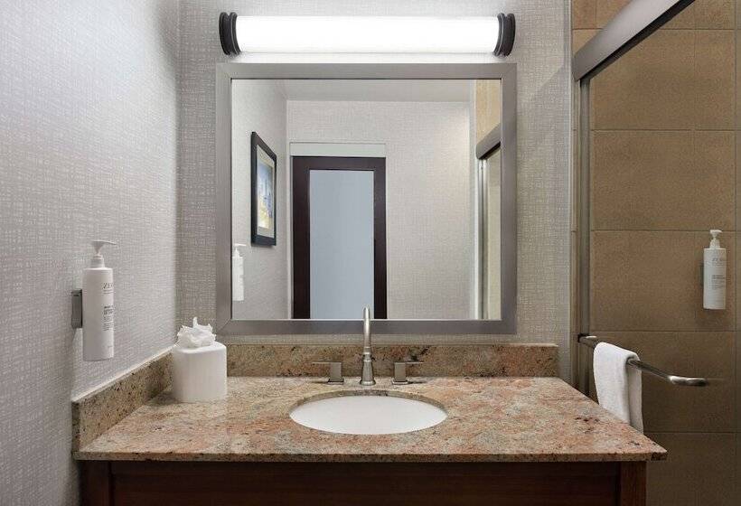 장애인을 위한 스탠다드 룸, Hampton Inn Manhattan/downtown Financial District