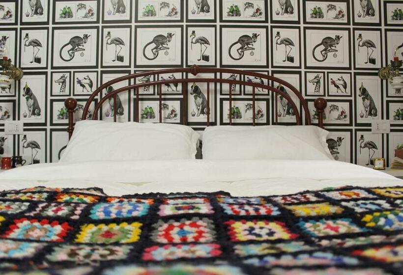 Номер Стандарт, Jacaranda