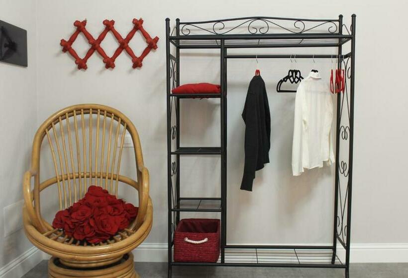 Номер Стандарт, Jacaranda