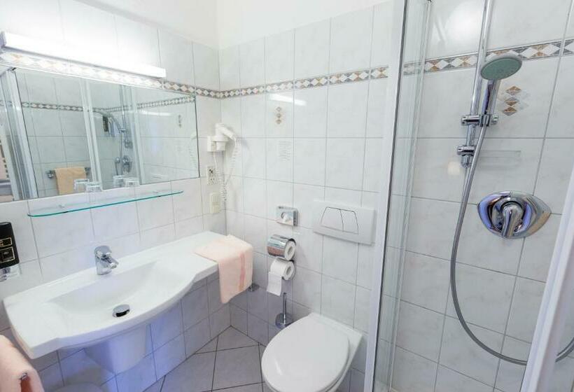 スタンダードシングルルーム, Pension Elfy