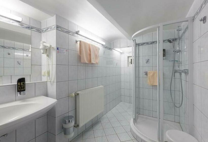 スタンダードルーム, Pension Elfy