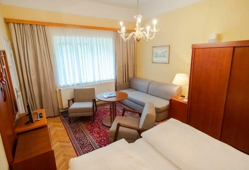 スタンダードルーム, Pension Elfy