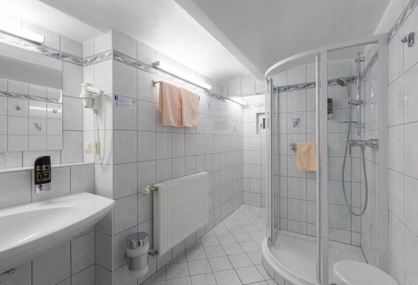 スタンダードスタジオ, Pension Elfy