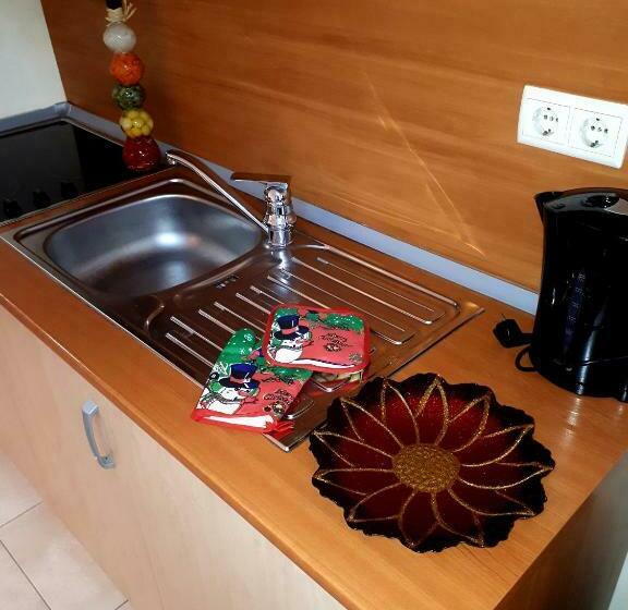 סטודיו סטנדרט עם מרפסת, Enjoy Studios And Lovely Apartment Villa Park