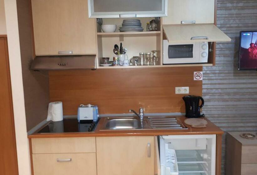 סטודיו סטנדרט עם מרפסת, Enjoy Studios And Lovely Apartment Villa Park