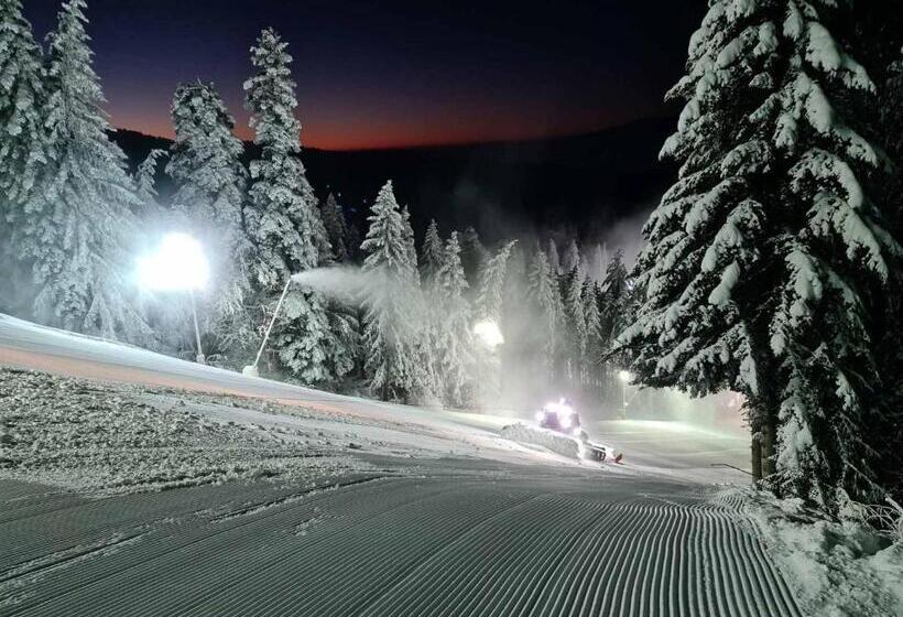 סטודיו סטנדרט, מיטה זוגית, Enjoy Studios And Lovely Apartment Villa Park